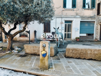 immagine annuncio 1 di 9