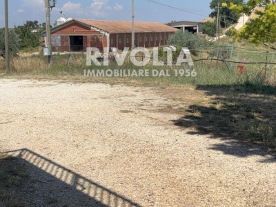 immagine annuncio 5 di 7