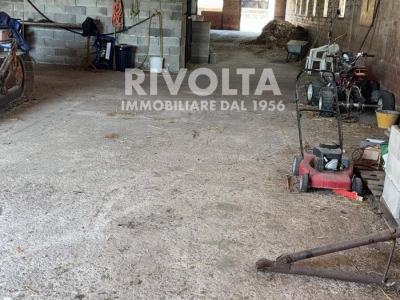 immagine annuncio 6 di 7