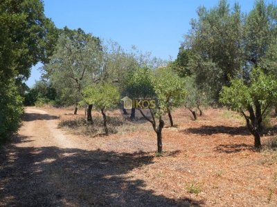 immagine annuncio 6 di 9