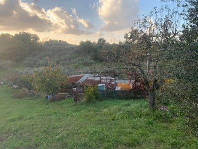 immagine annuncio 5 di 9