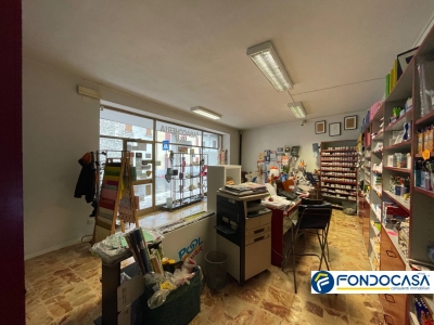 immagine annuncio 4 di 6