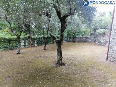 immagine annuncio 6 di 9
