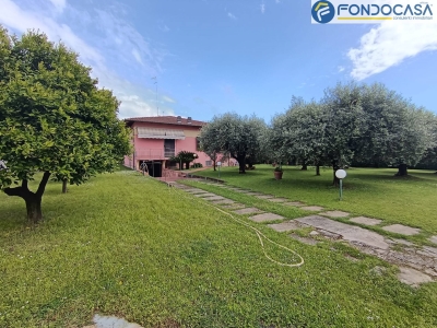 immagine annuncio 5 di 9