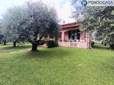 immagine annuncio 3 di 9