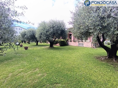 immagine annuncio 7 di 9