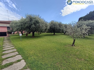 immagine annuncio 8 di 9