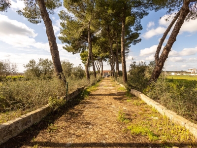 immagine annuncio 3 di 9