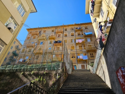 immagine annuncio 2 di 9