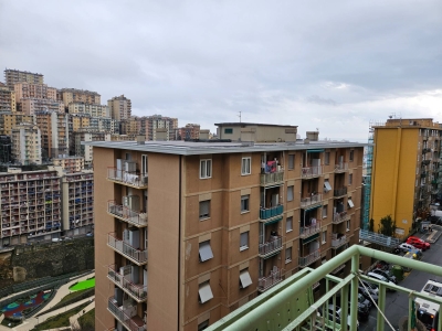 immagine annuncio 3 di 9