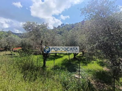 immagine annuncio 8 di 9