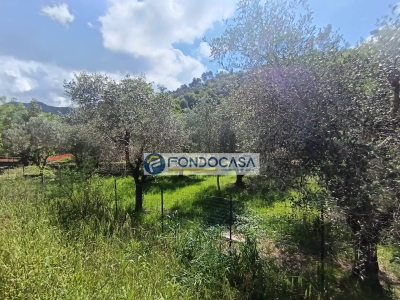 immagine annuncio 5 di 9