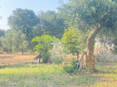 immagine annuncio 6 di 9