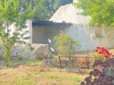 immagine annuncio 8 di 9