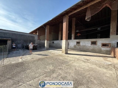 immagine annuncio 4 di 9