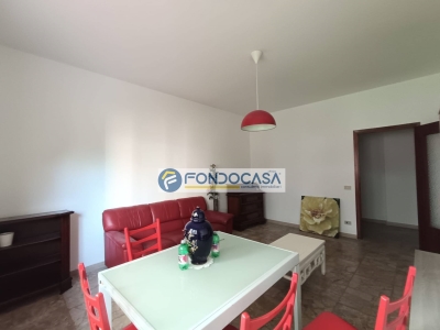 immagine annuncio 3 di 9