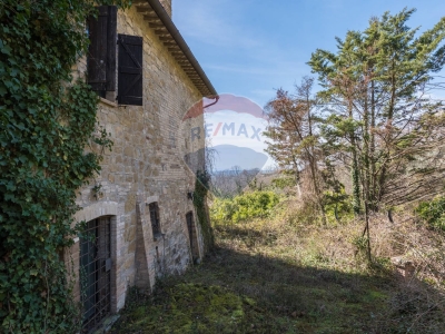immagine annuncio 4 di 9