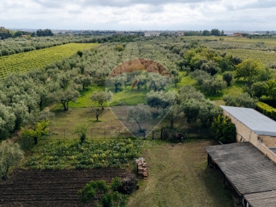 immagine annuncio 4 di 9