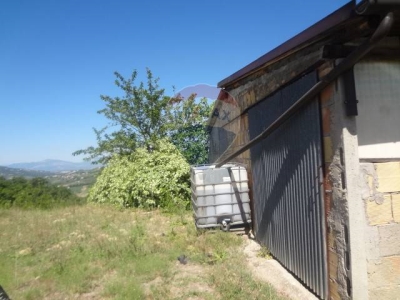 immagine annuncio 5 di 9