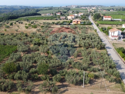immagine annuncio 3 di 6