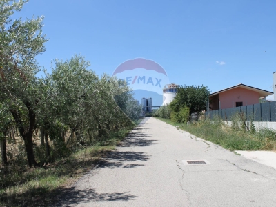 immagine annuncio 4 di 7