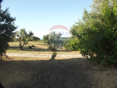 immagine annuncio 3 di 8