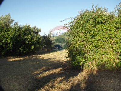 immagine annuncio 4 di 8