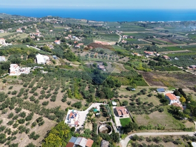 immagine annuncio 4 di 9