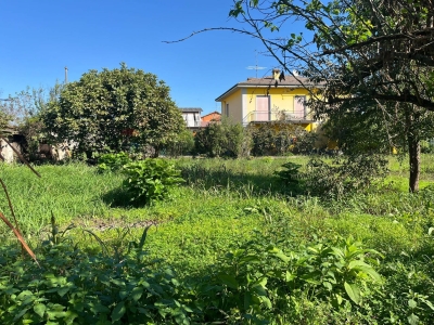 immagine annuncio 4 di 9