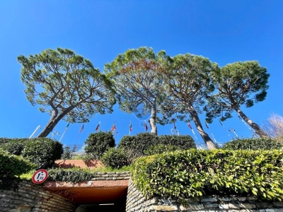 immagine annuncio 7 di 9