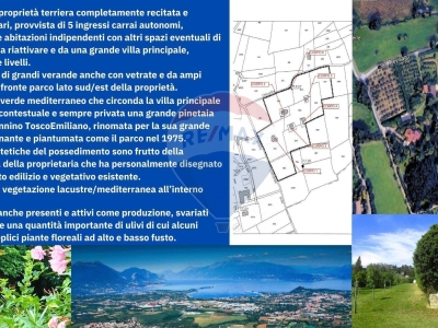 immagine annuncio 1 di 9