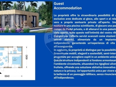 immagine annuncio 7 di 9