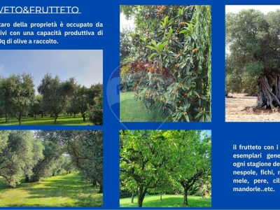 immagine annuncio 8 di 9