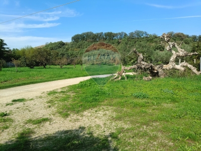 immagine annuncio 7 di 9