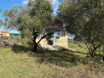 immagine annuncio 4 di 9