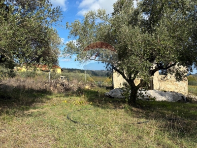 immagine annuncio 5 di 9