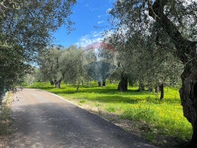 immagine annuncio 3 di 9