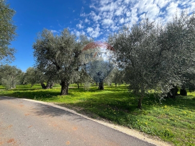 immagine annuncio 8 di 9
