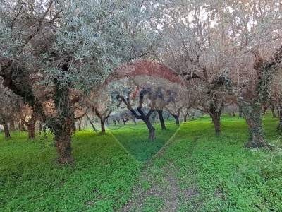immagine annuncio 8 di 9