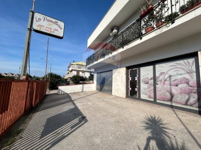 immagine annuncio 4 di 9