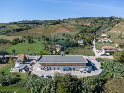 immagine annuncio 4 di 9