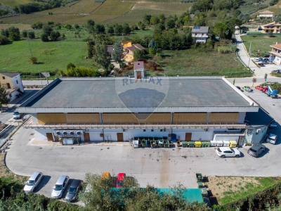 immagine annuncio 3 di 9