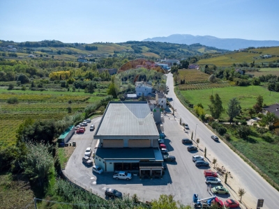 immagine annuncio 5 di 9
