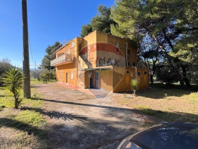 immagine annuncio 1 di 9