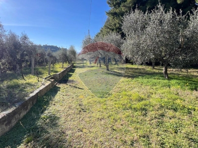immagine annuncio 8 di 9