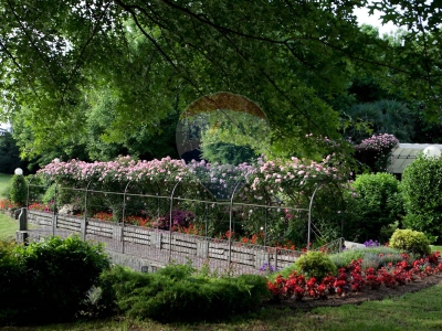immagine annuncio 6 di 9