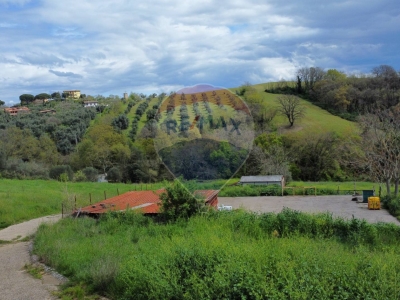 immagine annuncio 3 di 9