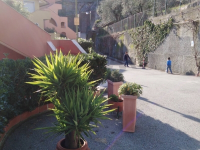 immagine annuncio 6 di 9