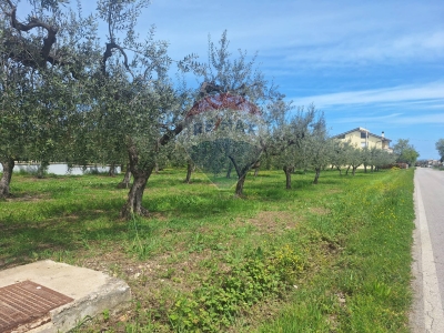 immagine annuncio 4 di 9