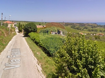 immagine annuncio 4 di 9